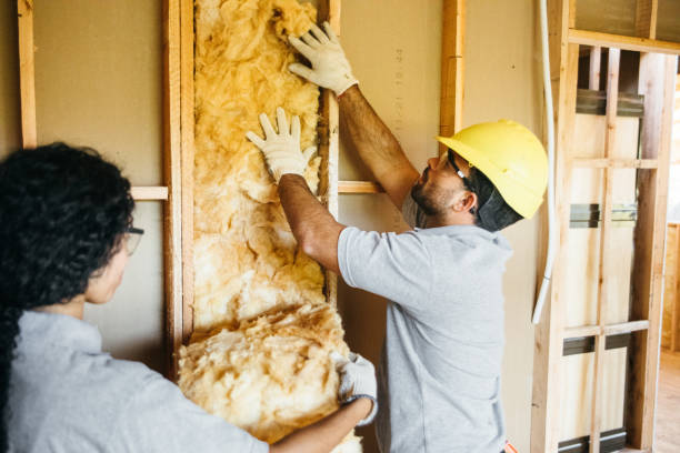 Insulation Inspection Services in Logan, WV